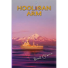Hooligan Arm - Paperback