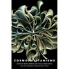 Cosmopolitanisms - Paperback