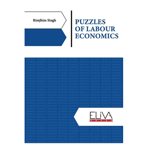 Puzzles of Labour Economics - Paperback