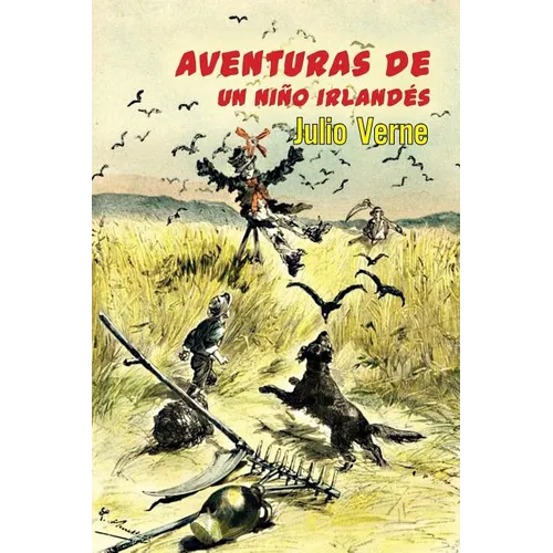 Aventuras de un niño irlandés - Paperback