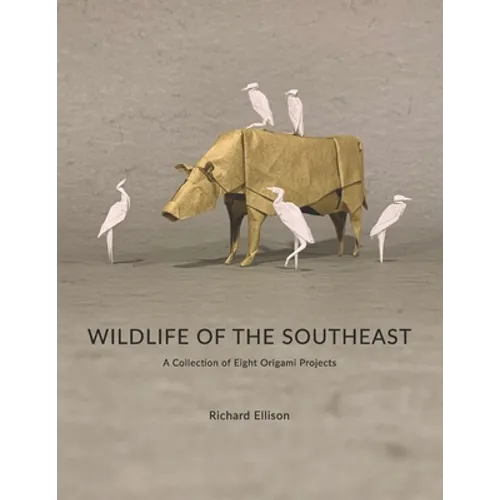 Wildlife of the Southeast: A Collection of Eight Origami Projects - Paperback