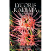 Lycoris Radiata: The Red Spider Lily - Paperback