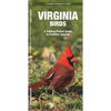 Virginia Birds: A Folding Pocket Guide to Familiar Species - Paperback