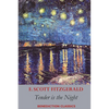 Tender is the Night - Paperback
