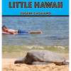 Little Hawaii - Hardcover