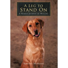 A Leg to Stand On: A Shared Journey of Healing - Hardcover