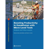 Boosting Productivity in Kazakhstan with Micro-Level Tools: Analysis and Policy Lessons - Paperback