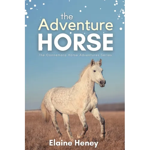 The Adventure Horse - Book 5 in the Connemara Horse Adventure Series for Kids - Paperback