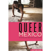 Queer Mexico: Cinema and Television Since 2000 - Paperback