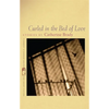 Curled in the Bed of Love: Stories - Paperback