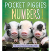 Pocket Piggies Numbers!: Featuring the Teacup Pigs of Pennywell Farm - Board Book