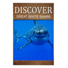 Great White Shark - Discover: Early reader's wildlife photography book - Paperback