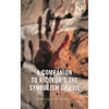 A Companion to Ricoeur's the Symbolism of Evil - Paperback