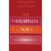 Therapeutic Process: A Clinical Introduction to Psychodynamic Psychotherapy - Paperback