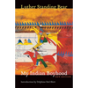 My Indian Boyhood - Paperback