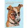 I Made an Accident - Paperback
