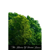 The Glories Of Divine Grace - Paperback