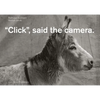 Click, Said the Camera - Spiral
