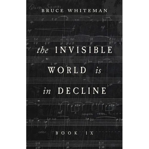 The Invisible World Is in Decline Book IX - Paperback