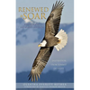 Renewed to Soar! Inspiration from Summit of Light, Volume 1 - Paperback
