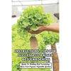Instructions, Tips For Successful Raised Bed Gardening_ Guide To Making And Sustaining Your Own Organic Vegetable Garden: Gardening Tips - Paperback