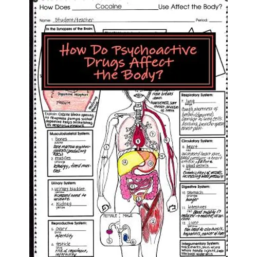 How Do Psychoactive Drugs Affect the Body?: Understanding How Drugs Affect the Synapse and Body Organs - Paperback