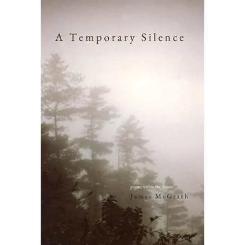 A Temporary Silence: Poems Within the silence - Paperback