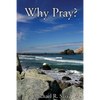 Why Pray? - Paperback