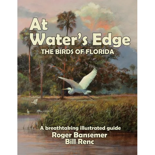 At Water's Edge: The Birds of Florida - Paperback