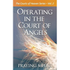 Operating in the Court of Angels - Paperback