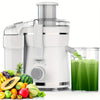 500W Centrifugal Juicer Machine 3 Speed Wide Mouth Fruit Vegetable Extractor