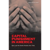 Capital Punishment in America: Race and the Death Penalty Over Time - Paperback