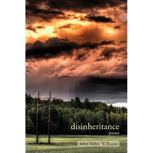 Disinheritance: Poems - Paperback