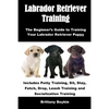Labrador Retriever Training: The Beginner's Guide to Training Your Labrador Retriever Puppy: Includes Potty Training, Sit, Stay, Fetch, Drop, Leash Tr - Paperback
