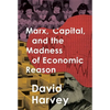 Marx, Capital, and the Madness of Economic Reason - Paperback