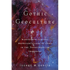 Gothic Geoculture: Nineteenth-Century Representations of Cuba in the Transamerican Imaginary - Paperback