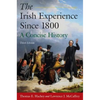 The Irish Experience Since 1800: A Concise History: A Concise History - Paperback