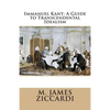 Immanuel Kant: A Guide to Transcendental Idealism - Paperback