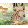 The Christmas Donkey - Paperback