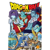 Dragon Ball Super, Vol. 17: God of Destruction Power - Paperback
