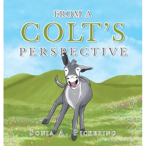 From a Colt's Perspective - Hardcover