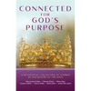 Connected for God's Purpose: A Devotional Collection of Stories by Daughters of the King - Paperback