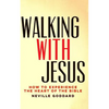 Walking With Jesus: How to Experience the Heart of the Bible - Paperback