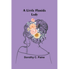 A Little Florida Lady - Paperback