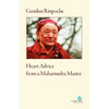 Heart Advice from a Mahamudra Master - Paperback