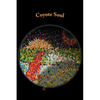 Coyote Soul: Theraputic Rhymes for PTSD - Paperback