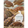 Extinction: A Radical History - Paperback