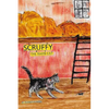 Scruffy The Barn Cat....His Adentures - Paperback