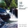 The Silent Serenade - Paperback