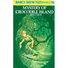 Mystery of Crocodile Island - Hardcover